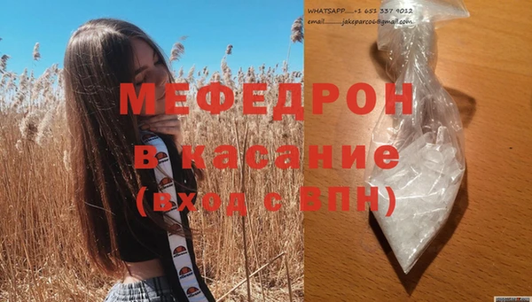 стаф Аркадак