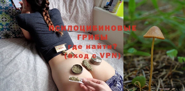 стаф Аркадак