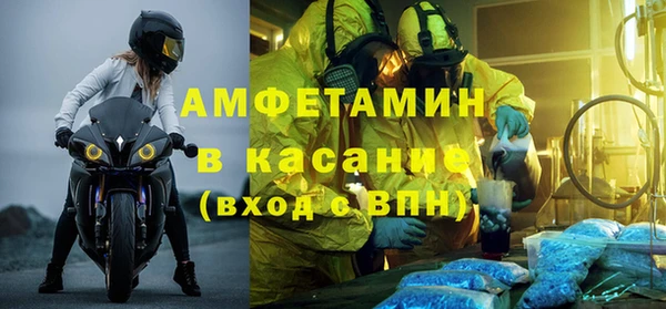 стаф Аркадак