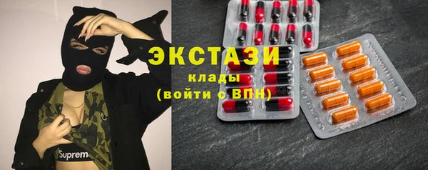 стаф Аркадак