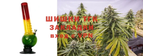 тгк Армянск