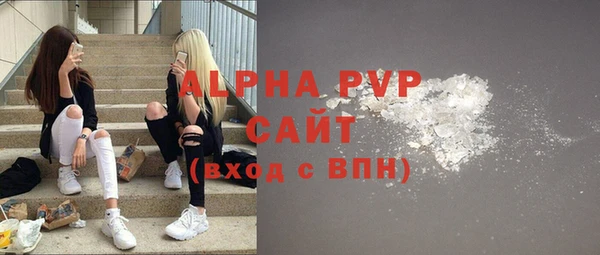 стаф Аркадак