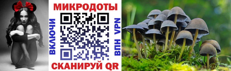 Псилоцибиновые грибы мицелий  купить наркотики сайты  kraken как войти  Ряжск 